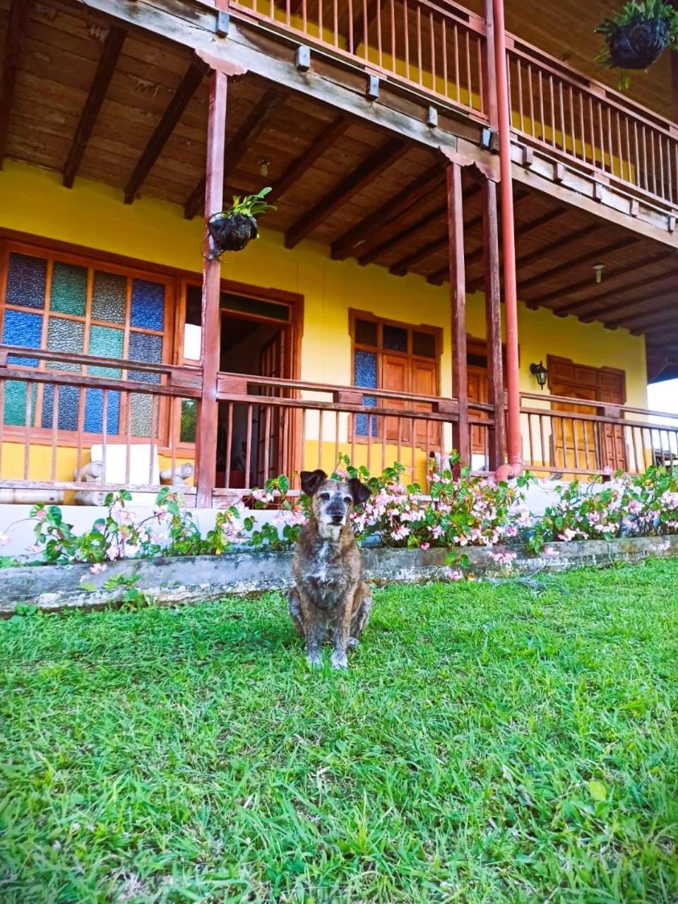 Hotel Filandia - Finca Rural La Guadalupana Exterior foto