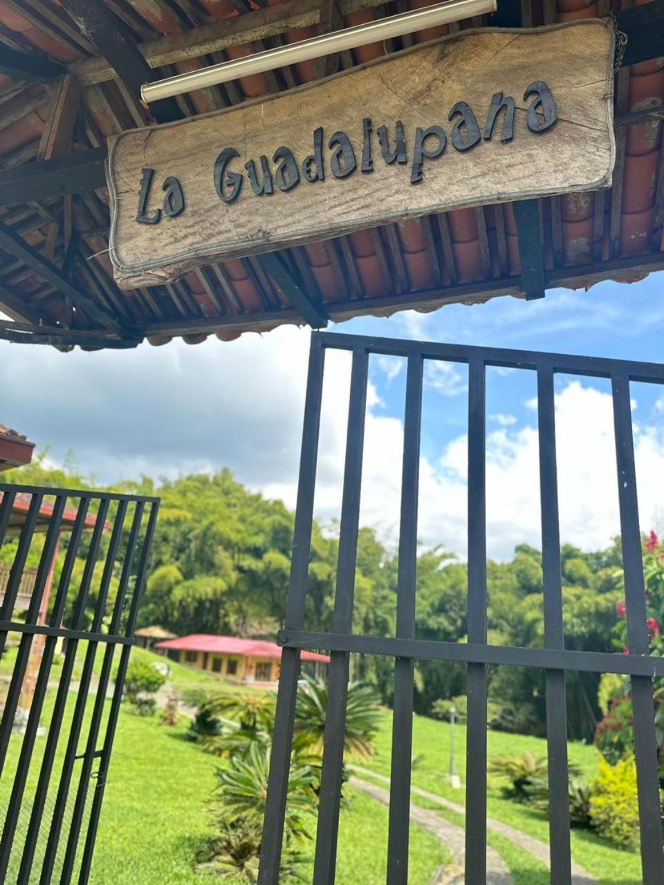 Hotel Filandia - Finca Rural La Guadalupana Exterior foto