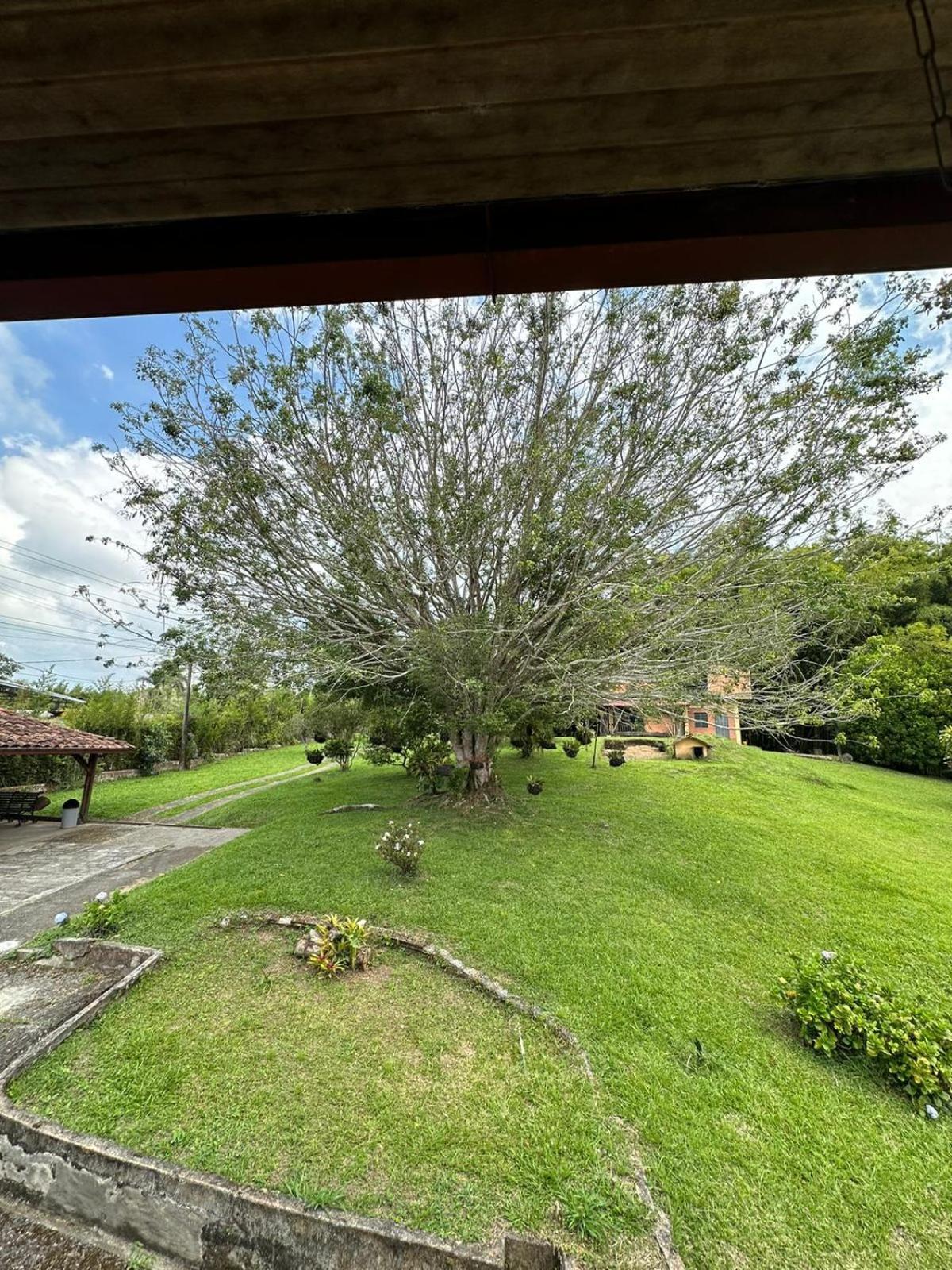 Hotel Filandia - Finca Rural La Guadalupana Exterior foto